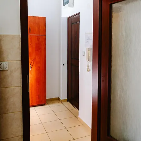 Stex Urban 5 Podgorica